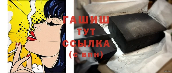 хмурый Белокуриха