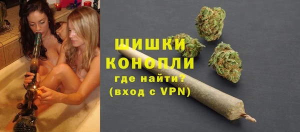 хмурый Белокуриха