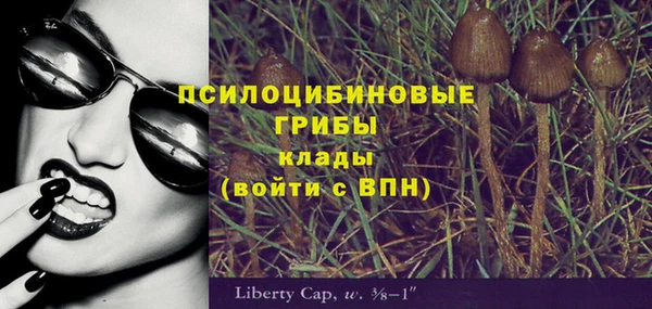 альфа пвп Богородицк