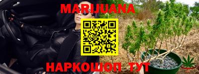 гидропоника Будённовск