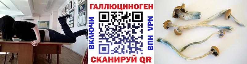 Псилоцибиновые грибы Psilocybe  Губкинский 