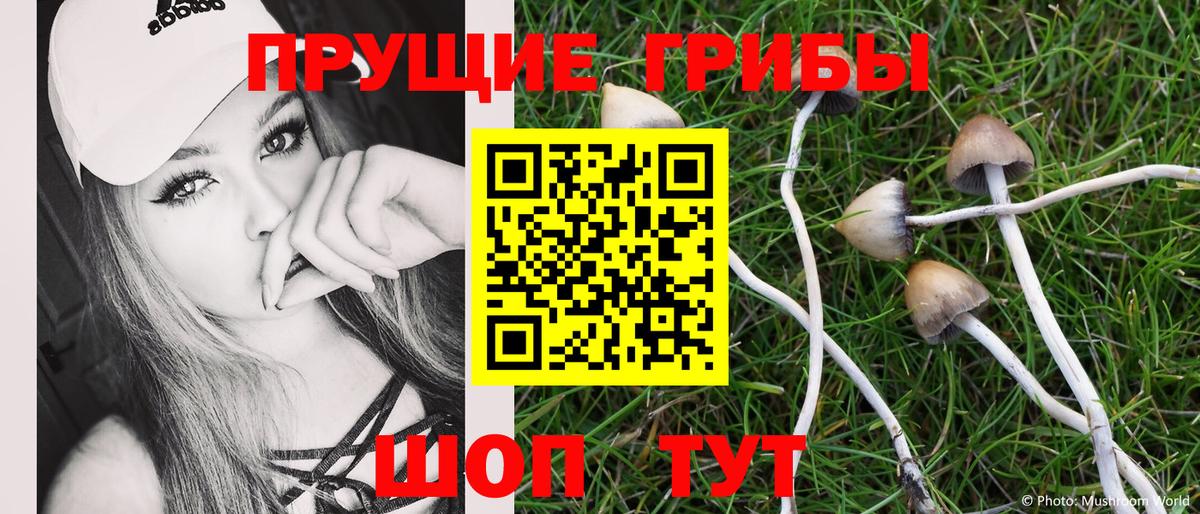 Псилоцибиновые грибы мицелий  Вход с VPN  Псилоцибиновые грибы Cubensis  Губкинский 